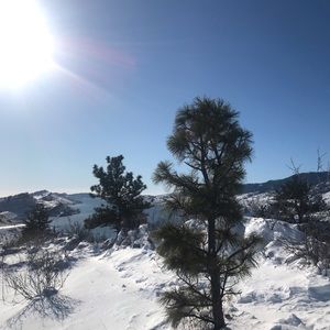 Meet your Posher, Brenda